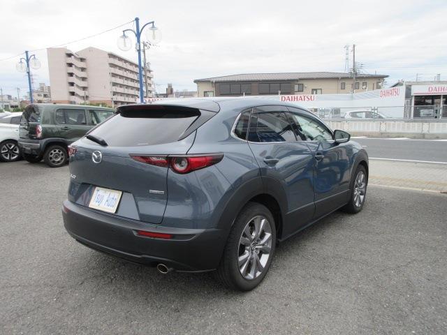 Mazda CX-30 6