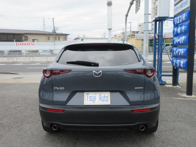 Mazda CX-30 7