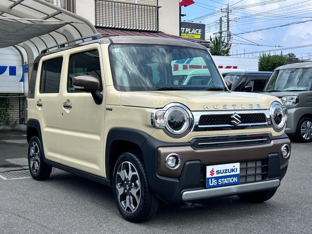 Suzuki Hustler 6