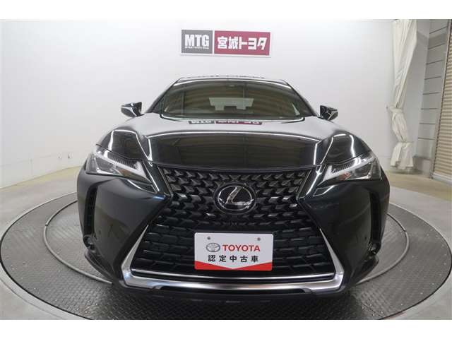 Lexus UX 11