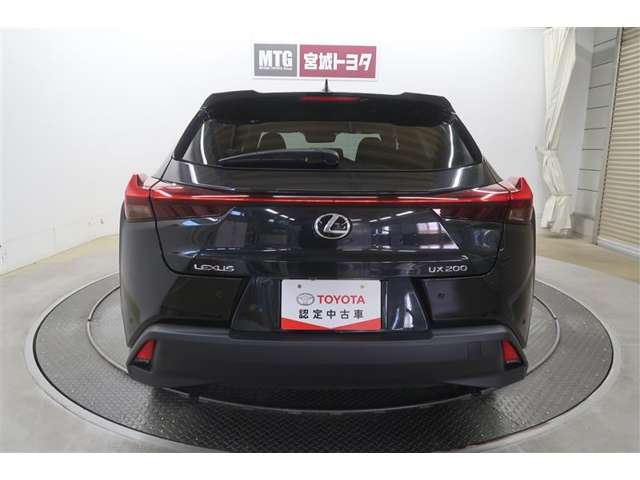Lexus UX 12