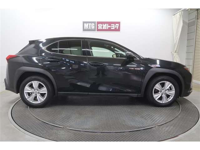 Lexus UX 9