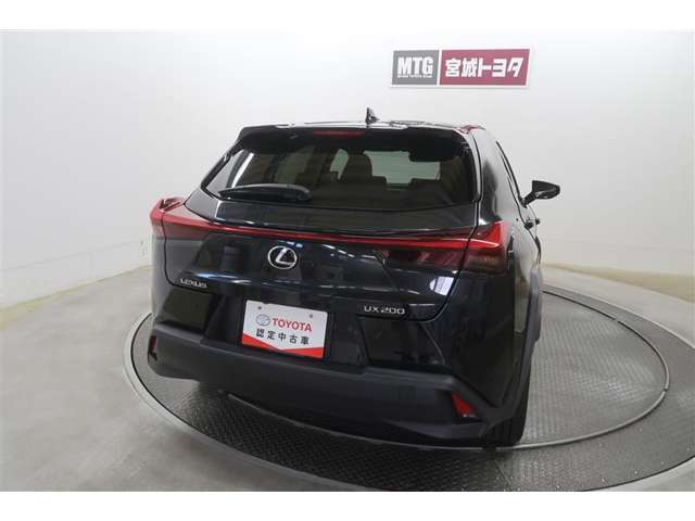 Lexus UX 10