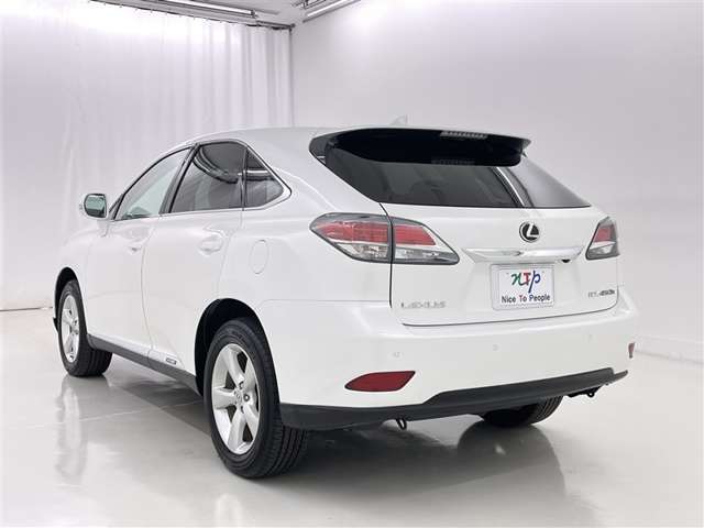 Lexus RX Hybrid 6
