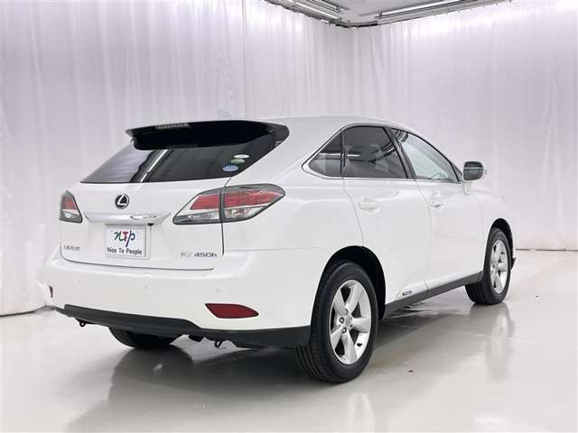 Lexus RX Hybrid 7