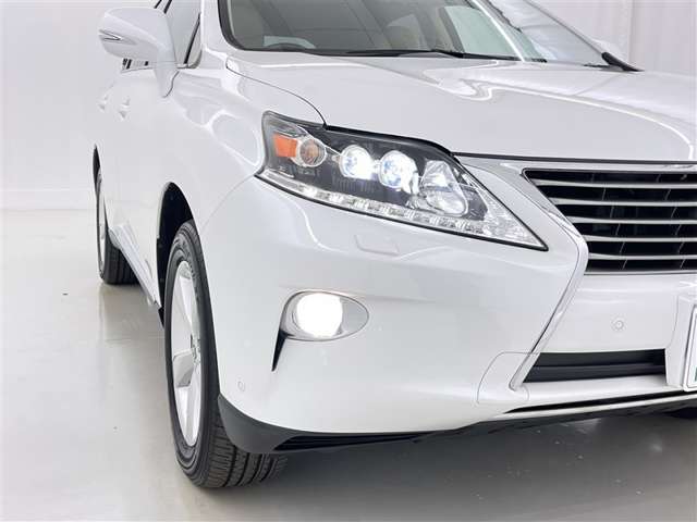 Lexus RX Hybrid 8