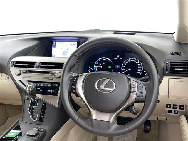 Lexus RX Hybrid 9