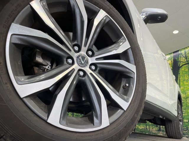 Lexus RX 12
