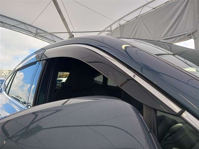 Toyota Harrier 12