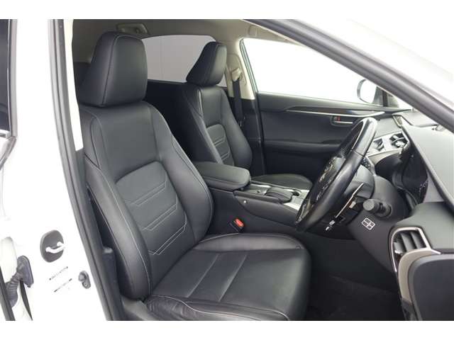 Lexus NX 6