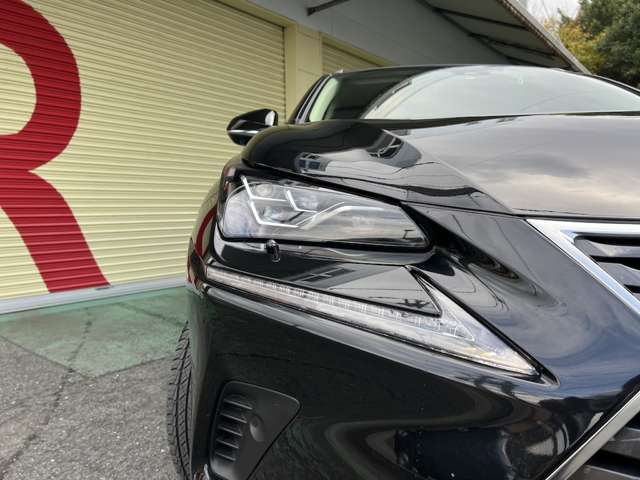 Lexus NX 12