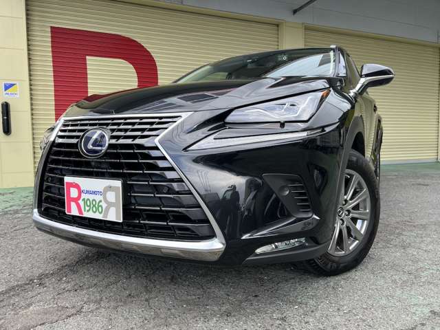 Lexus NX 6