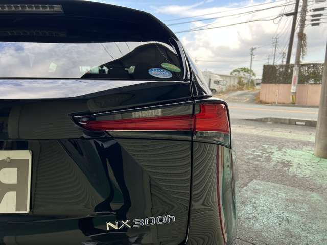 Lexus NX 10