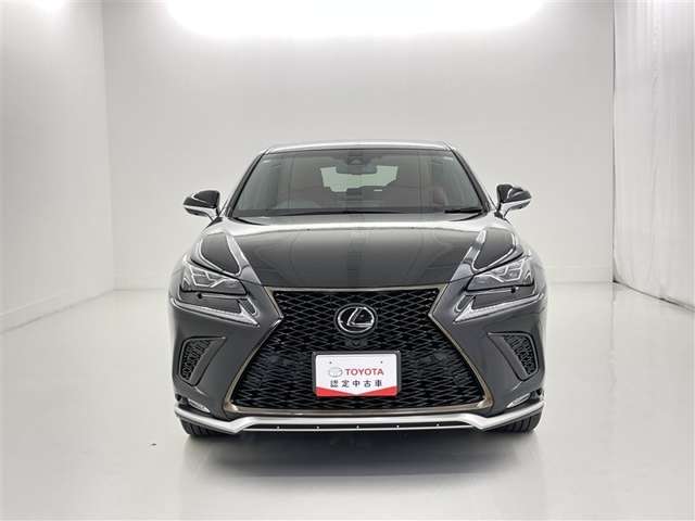 Lexus NX 4