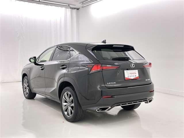 Lexus NX 6
