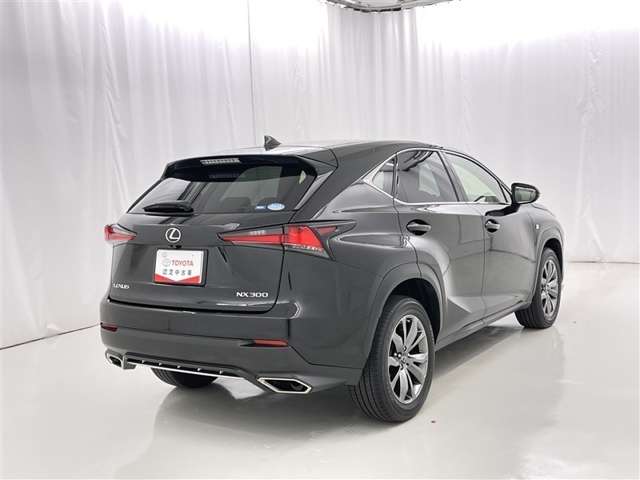 Lexus NX 7