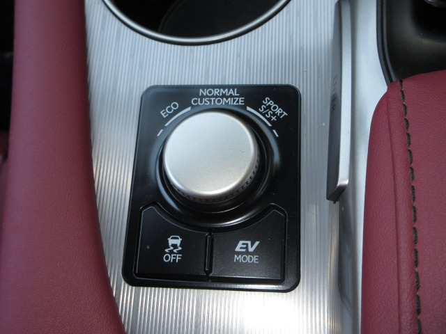 Lexus RX 11