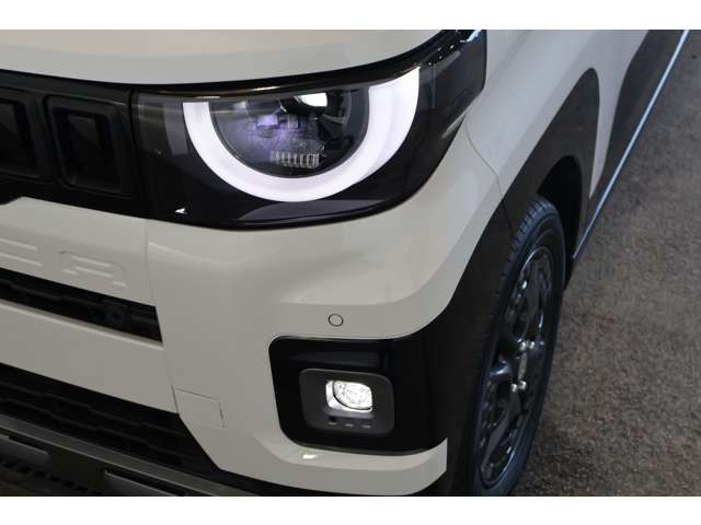 Mitsubishi Delica Mini 12