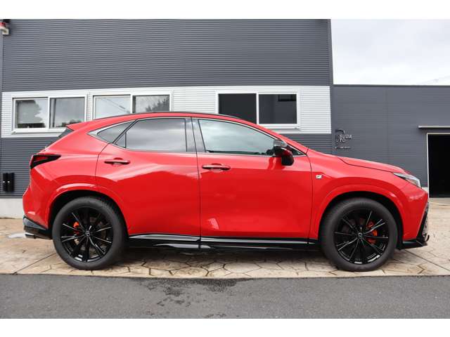 Lexus NX 4