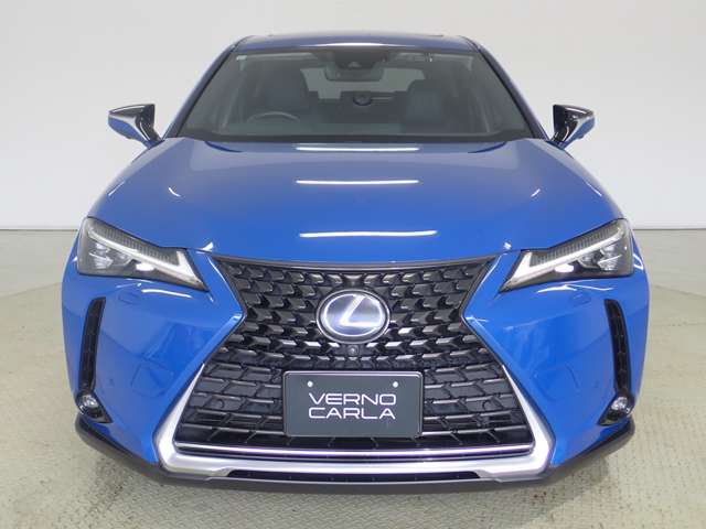 Lexus UX 11