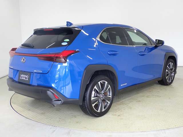 Lexus UX 10