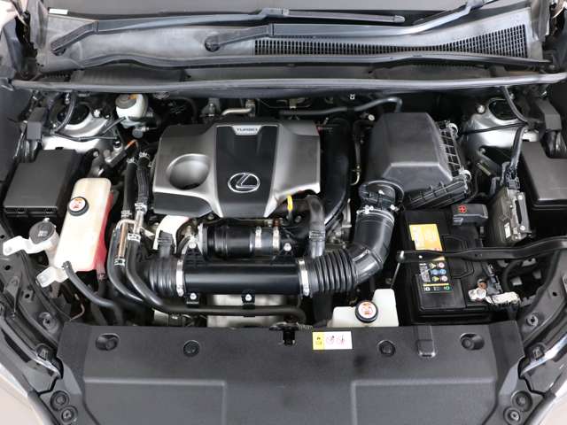 Lexus NX 11