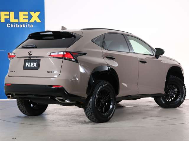 Lexus NX 12