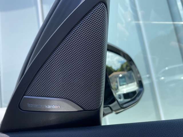 BMW X4 7