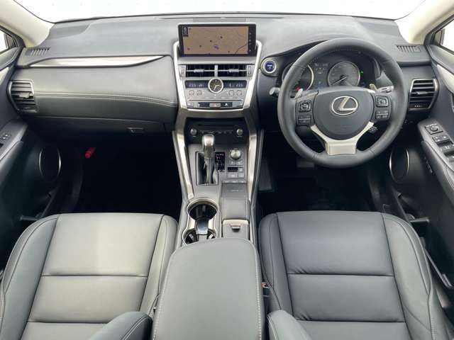 Lexus NX 4