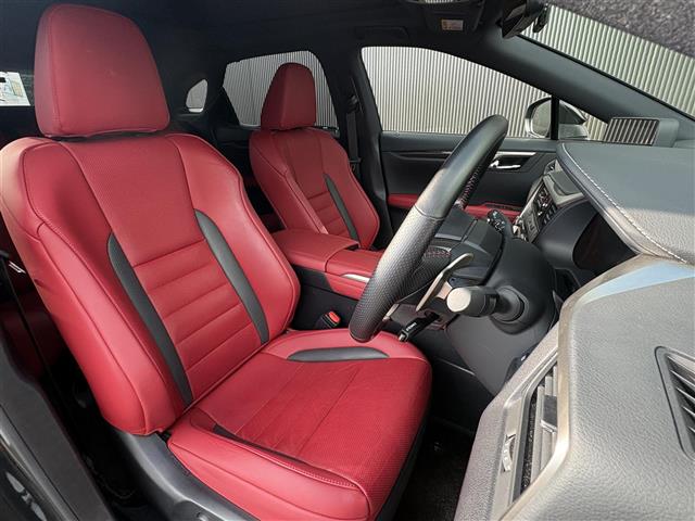 Lexus RX 12