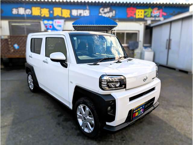 Daihatsu Taft 12