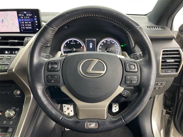 Lexus NX 12