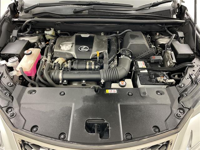 Lexus NX 8