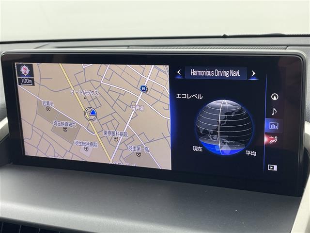Lexus NX 12