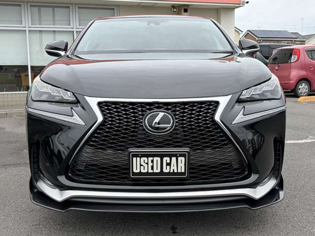 Lexus NX 12