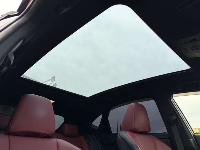 Lexus NX 3
