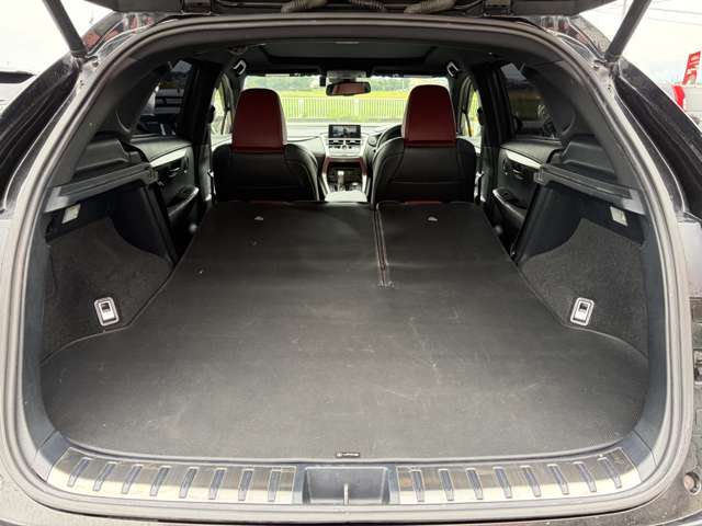 Lexus NX 10