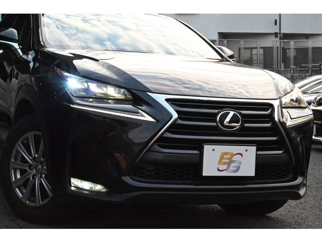 Lexus NX 11