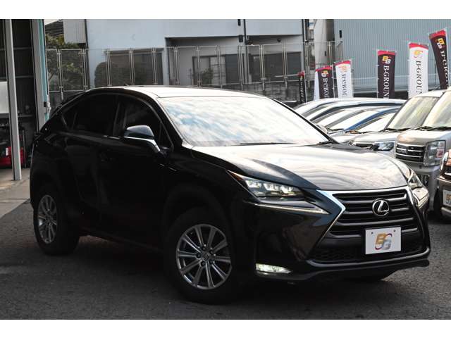 Lexus NX 6