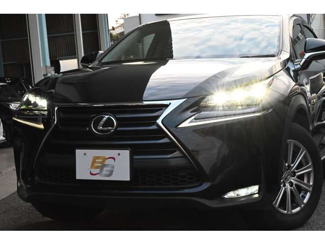 Lexus NX 10