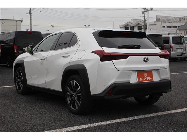 Lexus UX 12