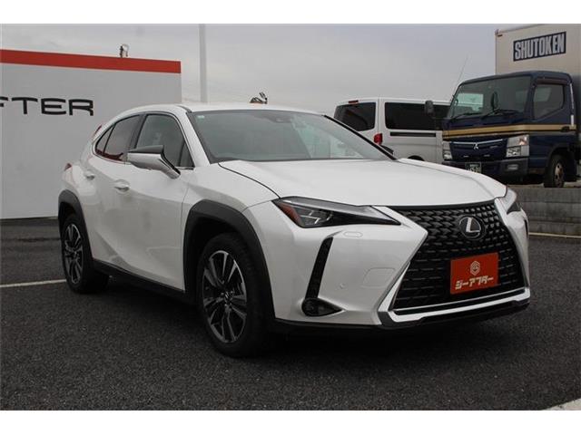 Lexus UX 9