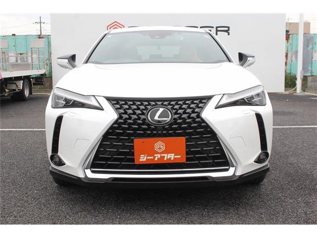 Lexus UX 10