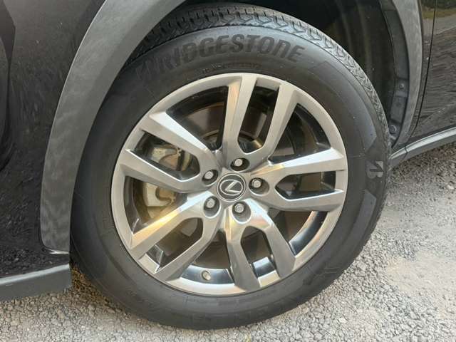 Lexus NX 11