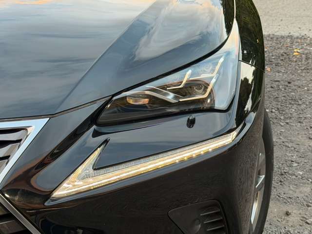 Lexus NX 7