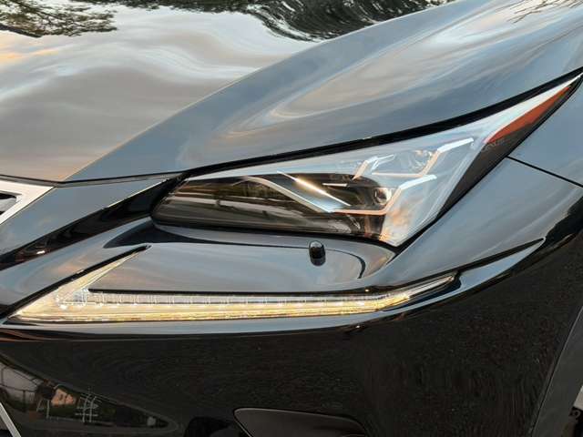 Lexus NX 8