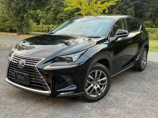 Lexus NX 9