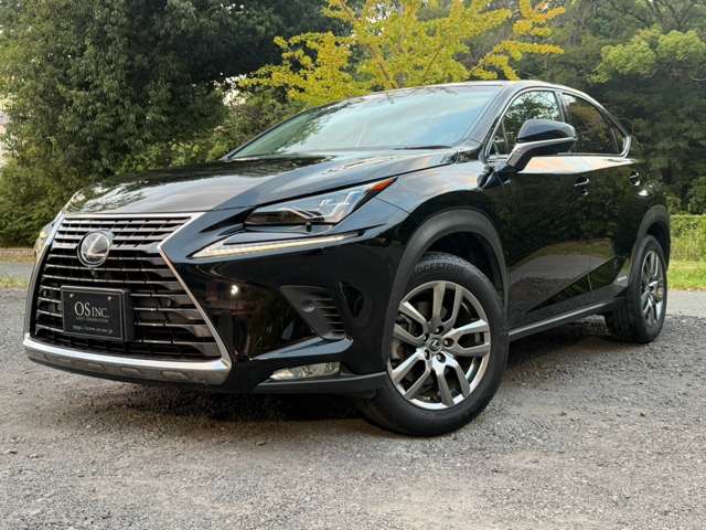 Lexus NX 10
