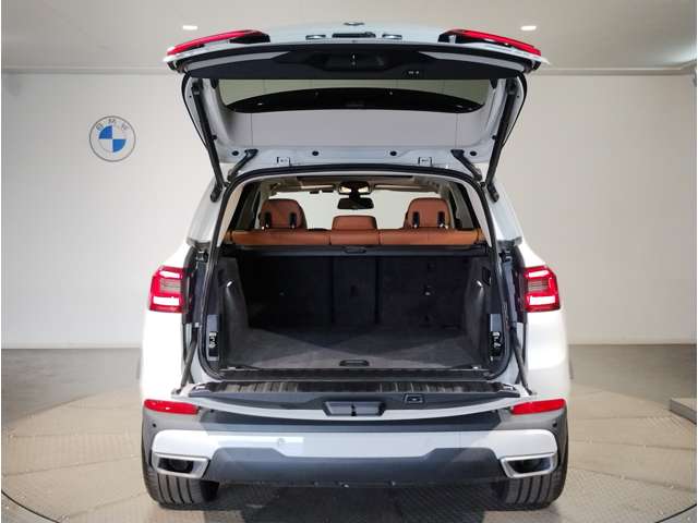 BMW X5 11