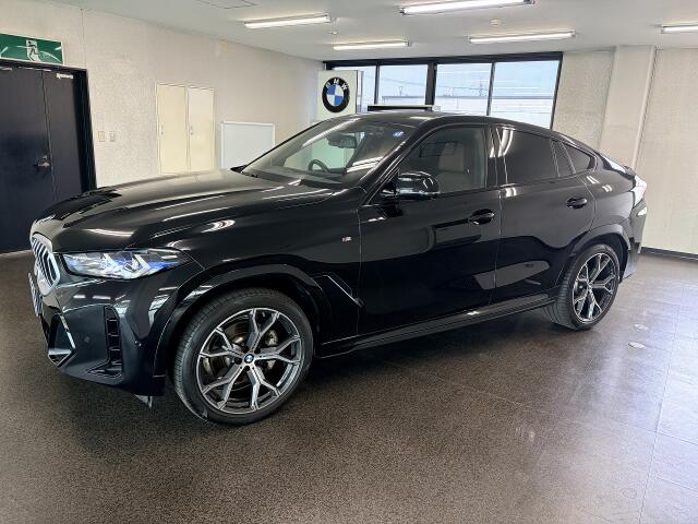 BMW X6 6